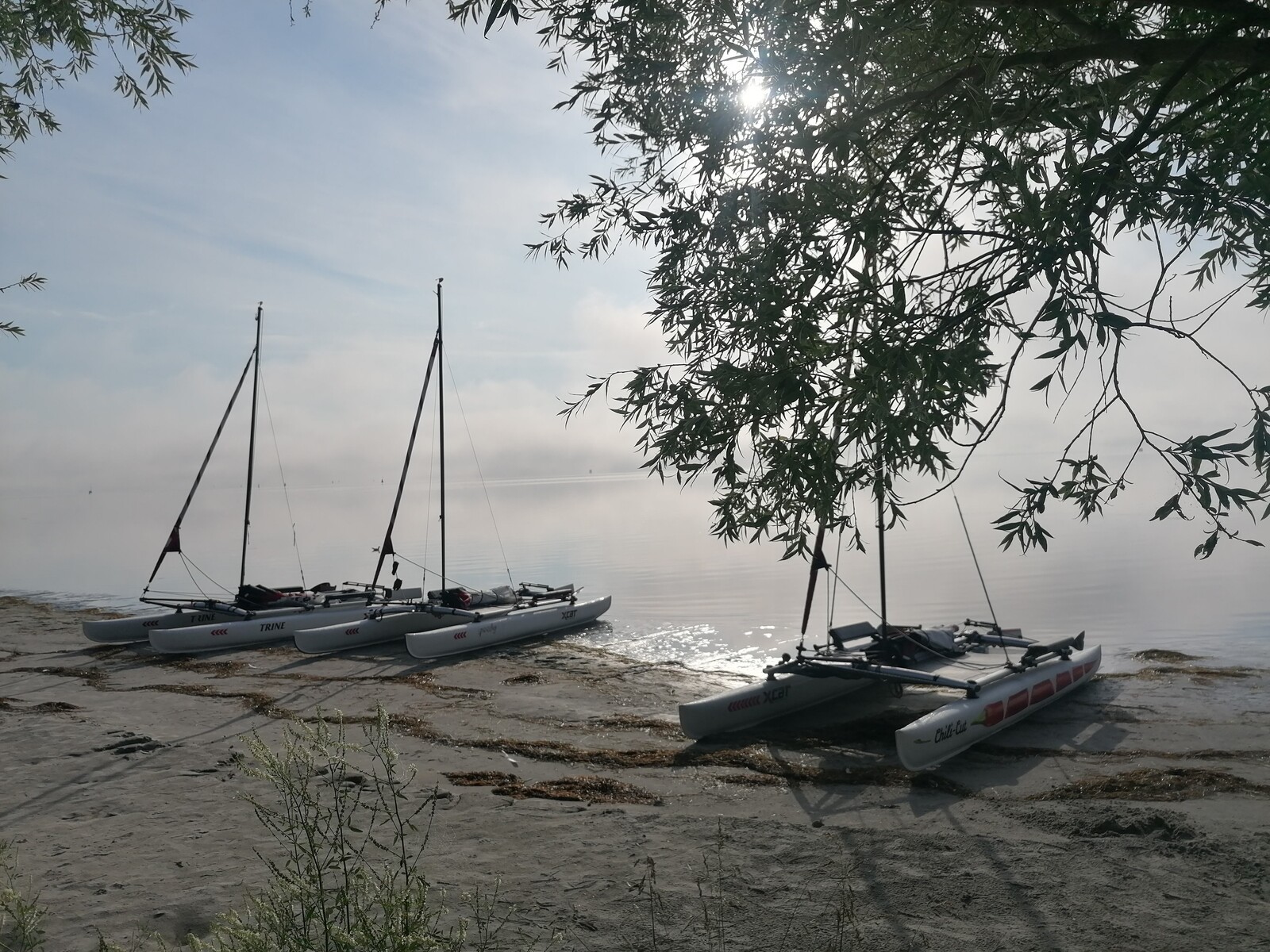 Sonnenaufgang XCAT 1